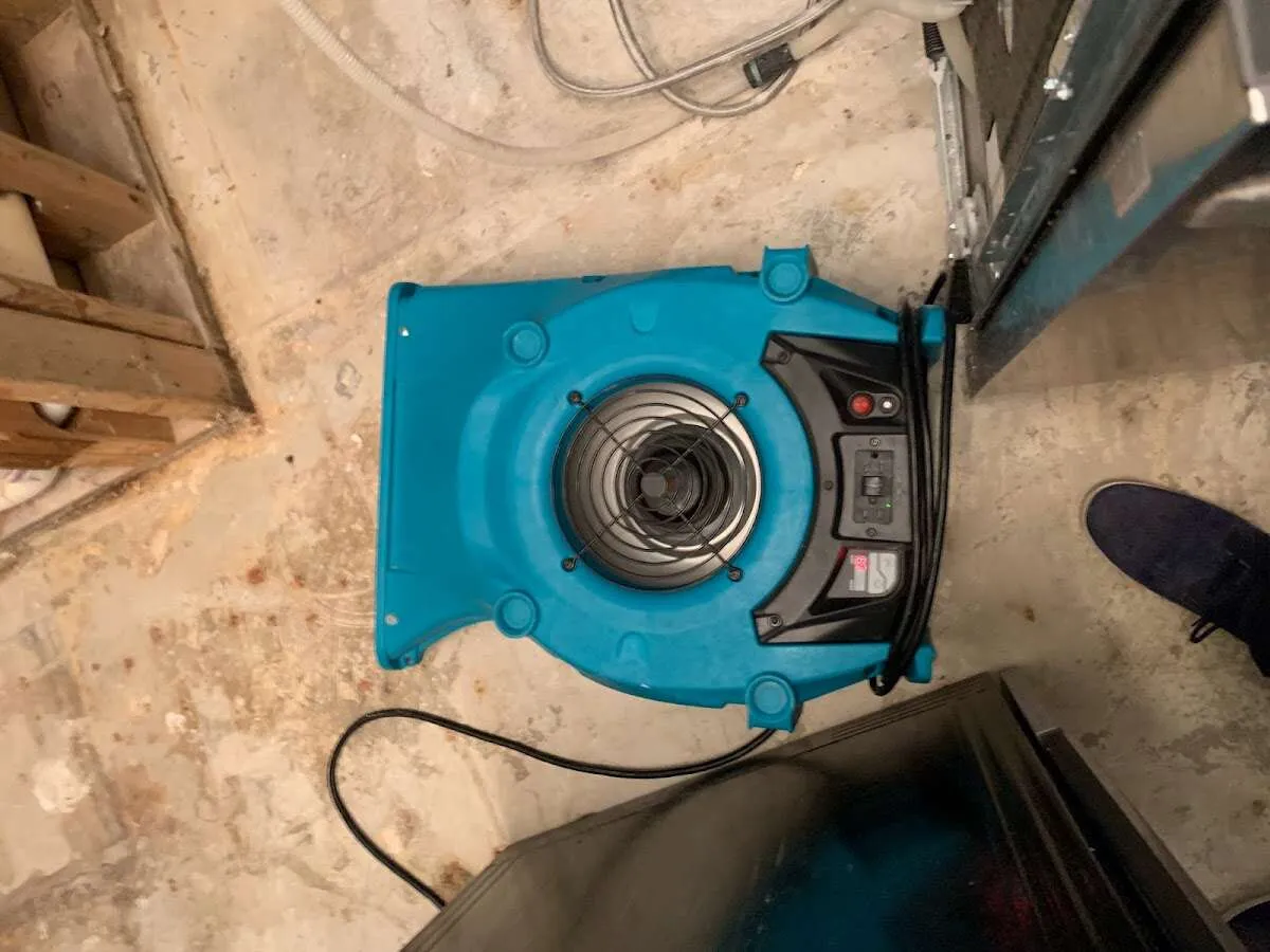 Air mover drying equipment for Mold Remediation & Removal in Fenton